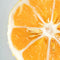 Close-up of a sliced orange on a light gray background